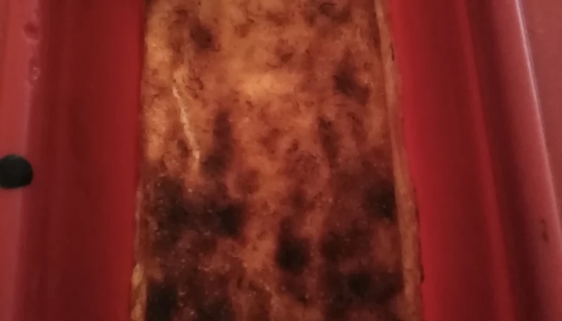 Cake à la banane (sans œufs et sans farine)