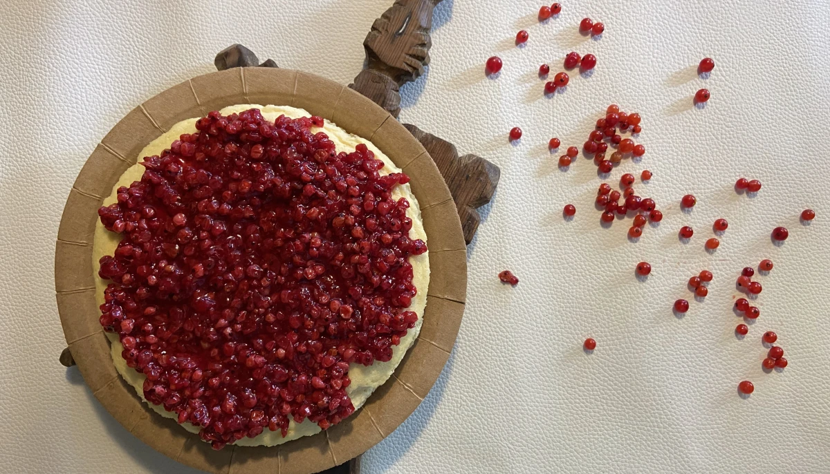 Cheesecake New Yorkais Healthy