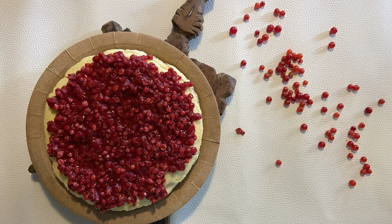 Cheesecake New Yorkais Healthy