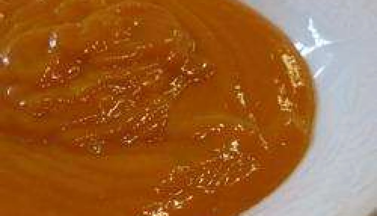 compote d'oranges et d'abricots (100% healthy)