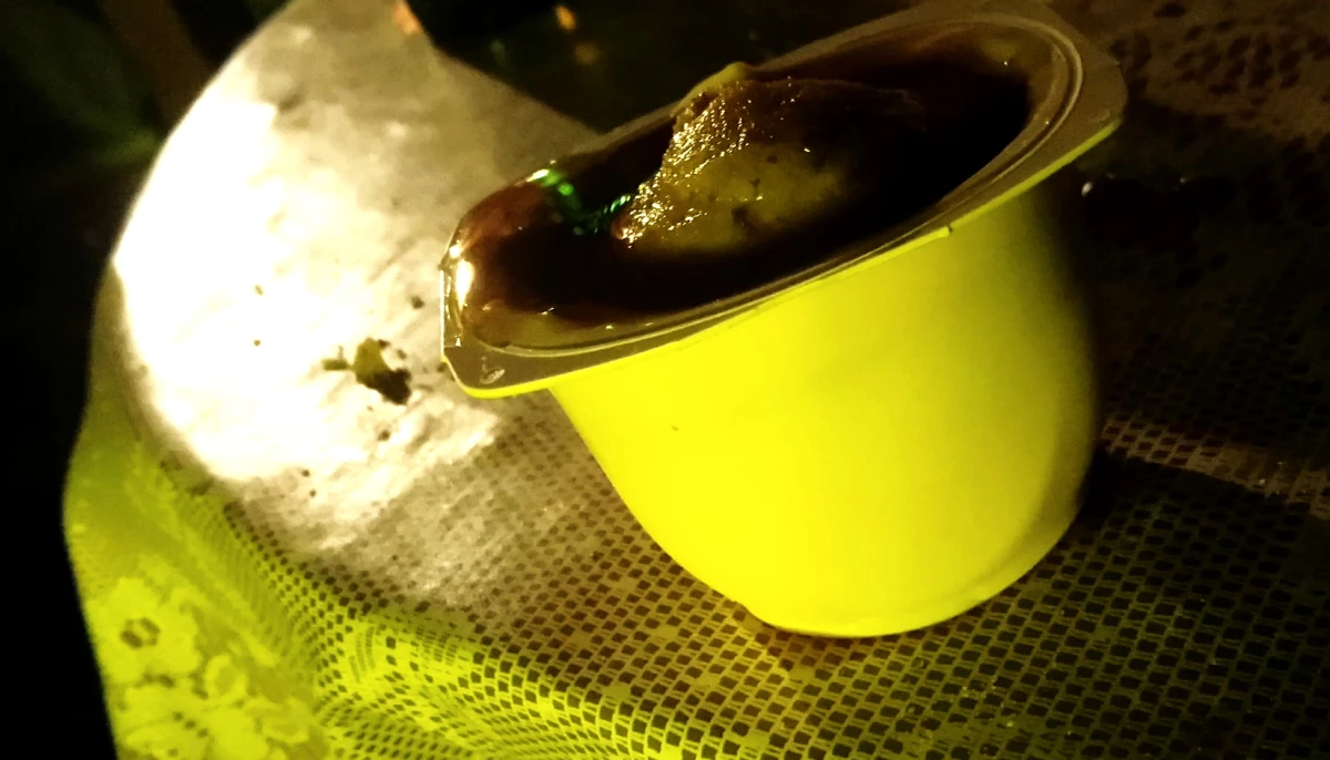 Danette rhum madeleine