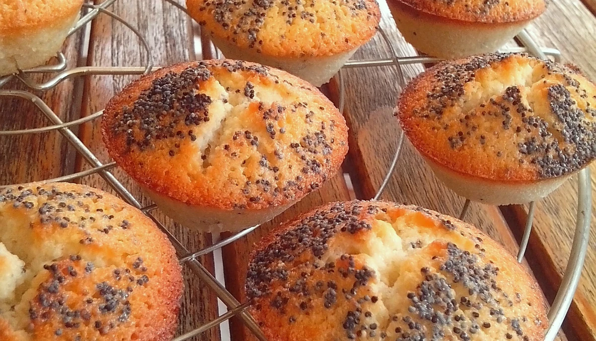 Financiers ronds citron-pavot