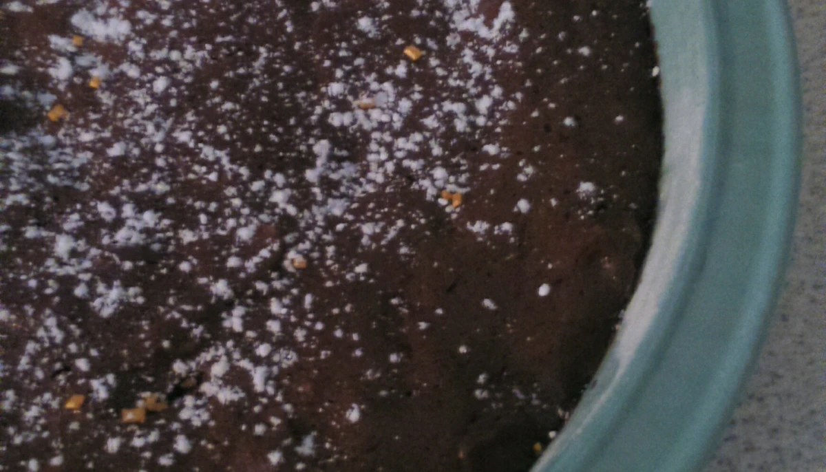 Gâteau chocolat 5min!