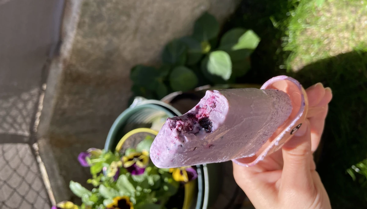 Glace aux Myrtilles Healthy