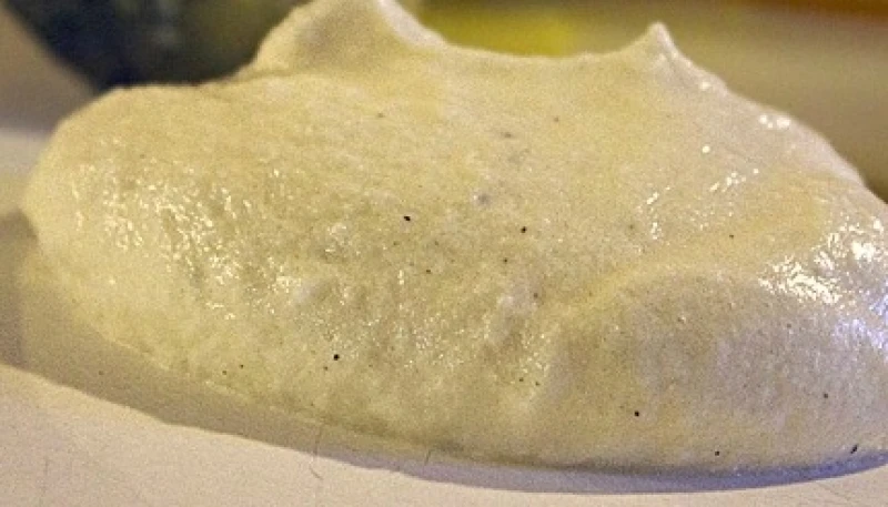 Mayonnaise mousseline ( Plus légère )