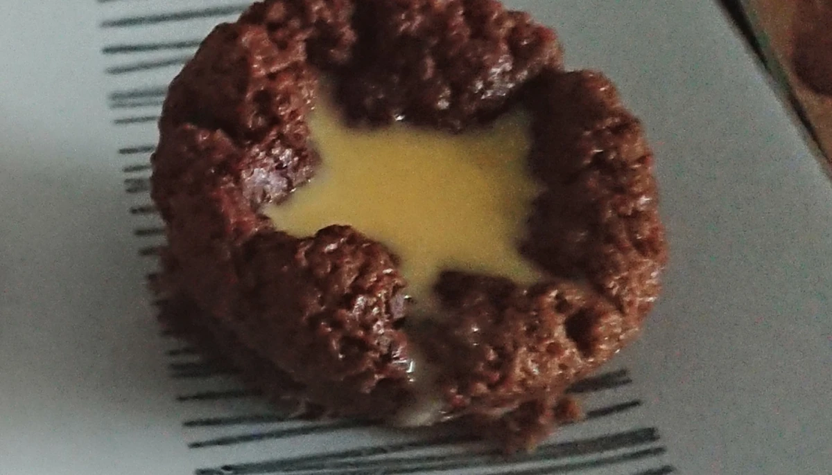 Moelleux choco/courgette