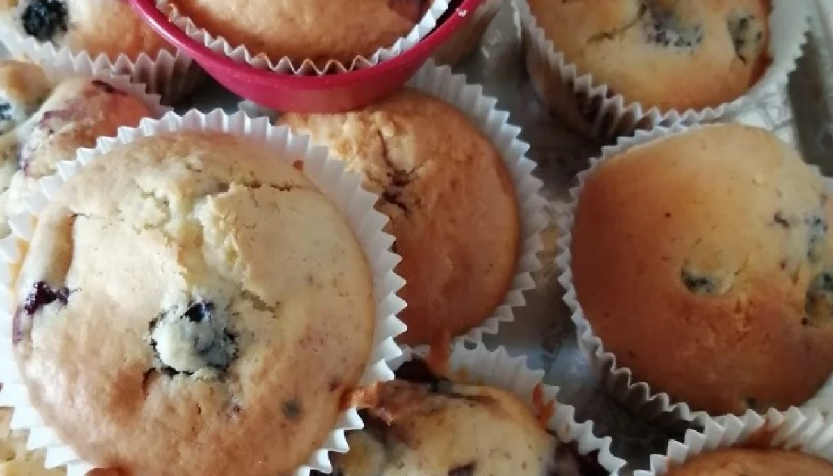 muffins recette de base