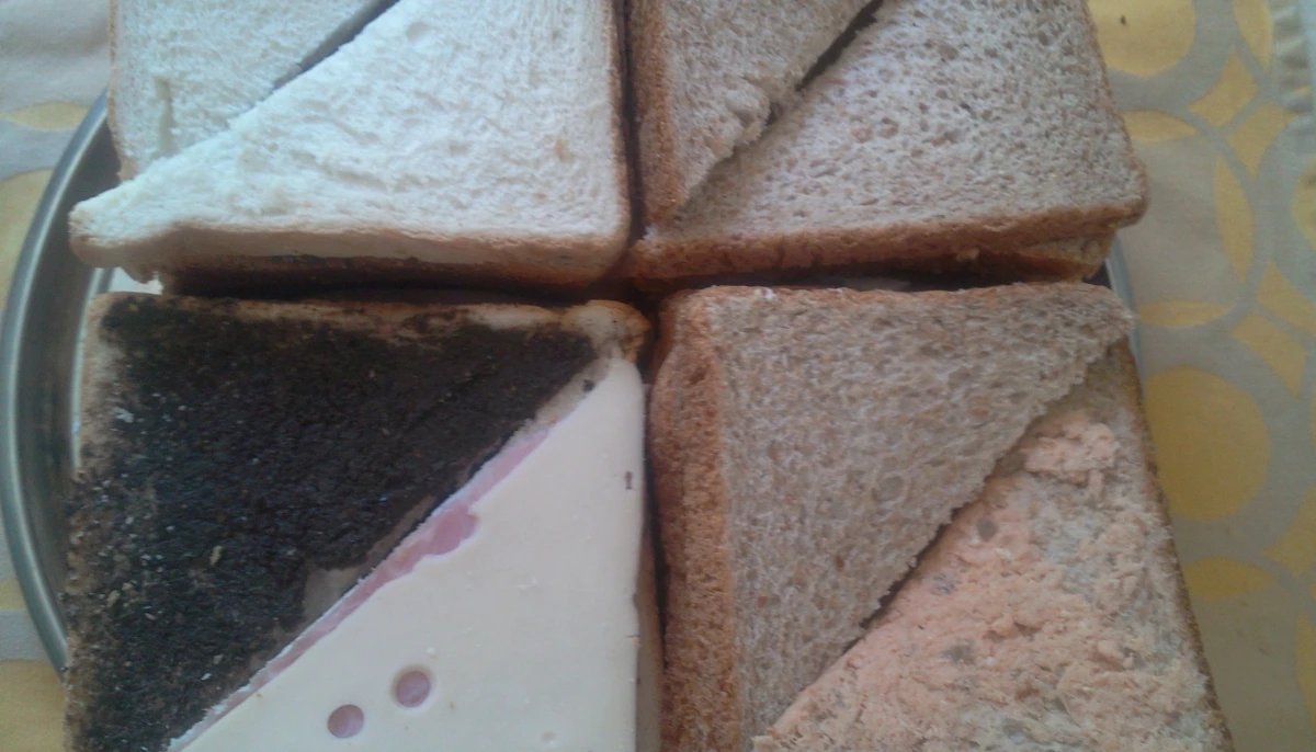 Pain surprise étudiant