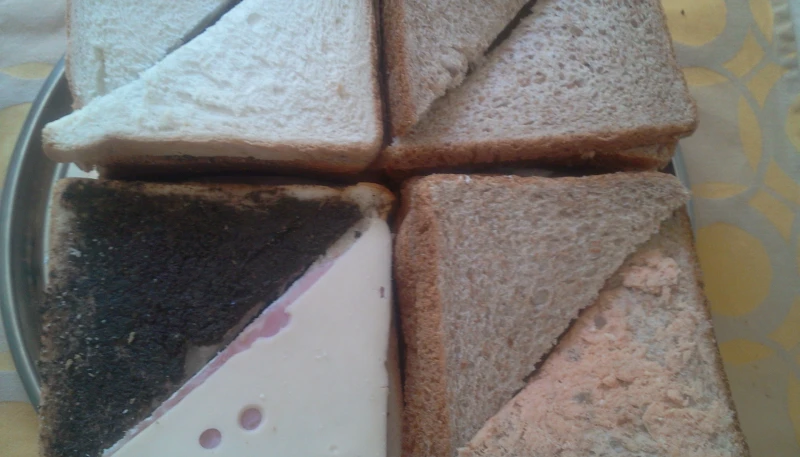 Pain surprise étudiant