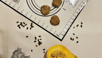 Pumpkin Cookies Healthy & Vegan