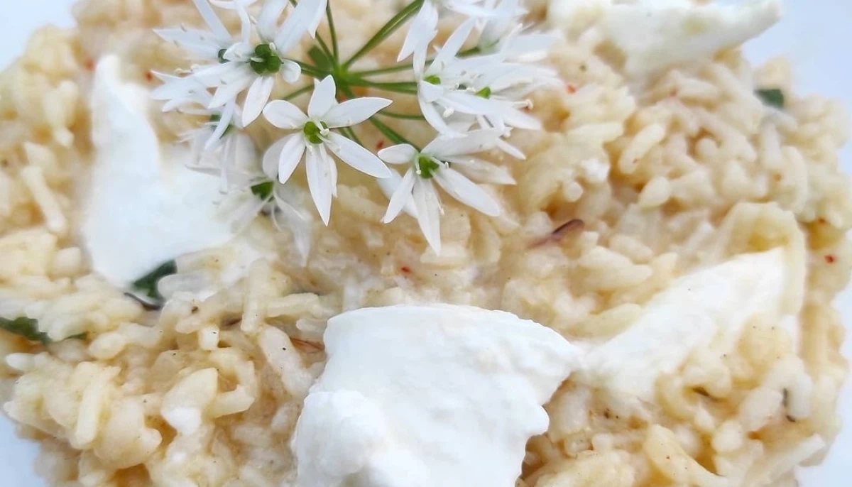 Risotto à l'ail des ours