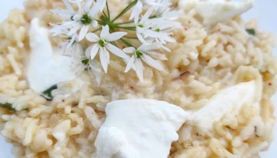 Risotto à l'ail des ours