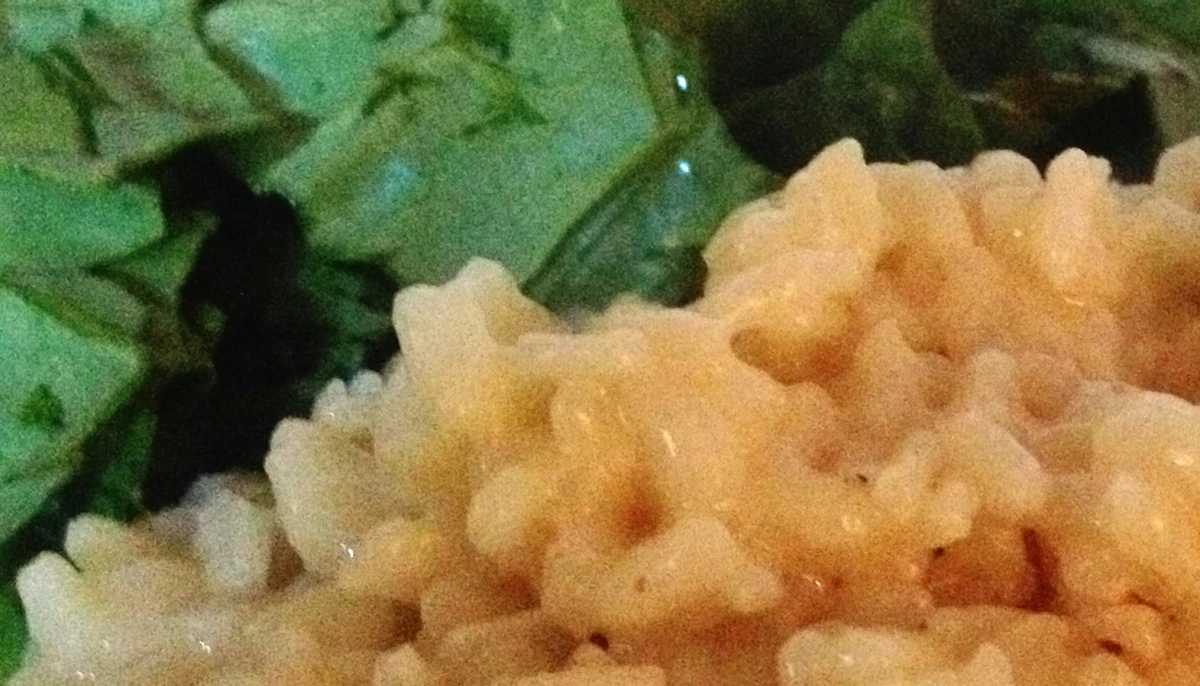 Risotto Parmesan