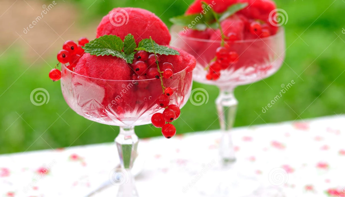 sorbet aux groseilles avec une sorbetière