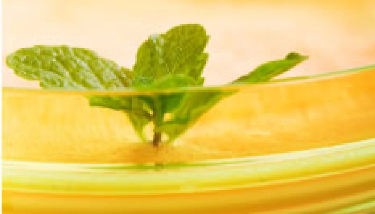 Soupe de mangue