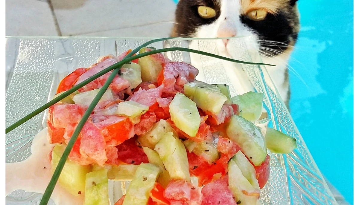 Tartare de Crudité, Concombres et Tomates