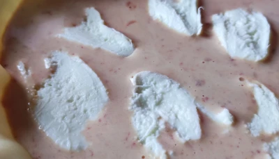 Tarte thon moutarde mozza