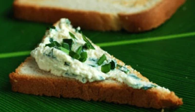 Tofu ail et fines herbes à tartiner