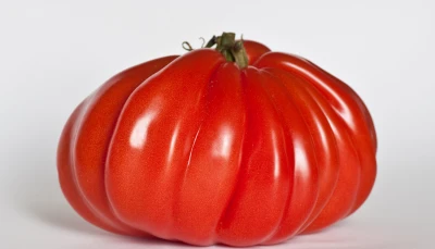 Tomates marinées au soja et à la menthe