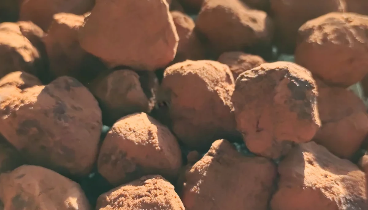 Truffes au chocolat