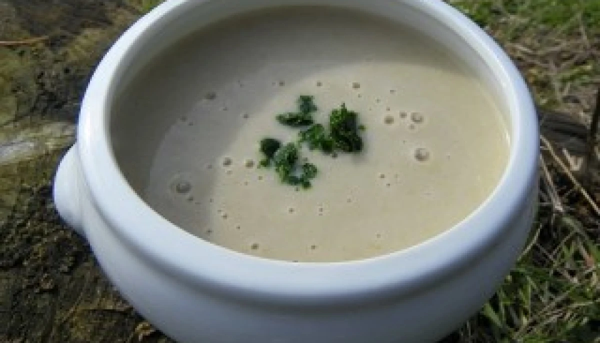 velouté d'endives de ma grand -mère