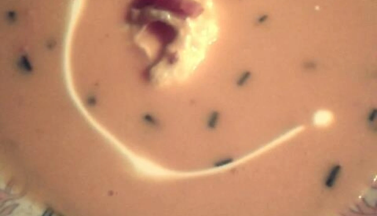Velouté de potirons au lardon, marron et oeuf polé