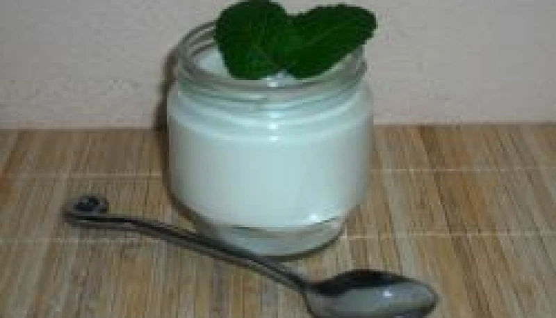 yaourt àla menthe( yaourtière)