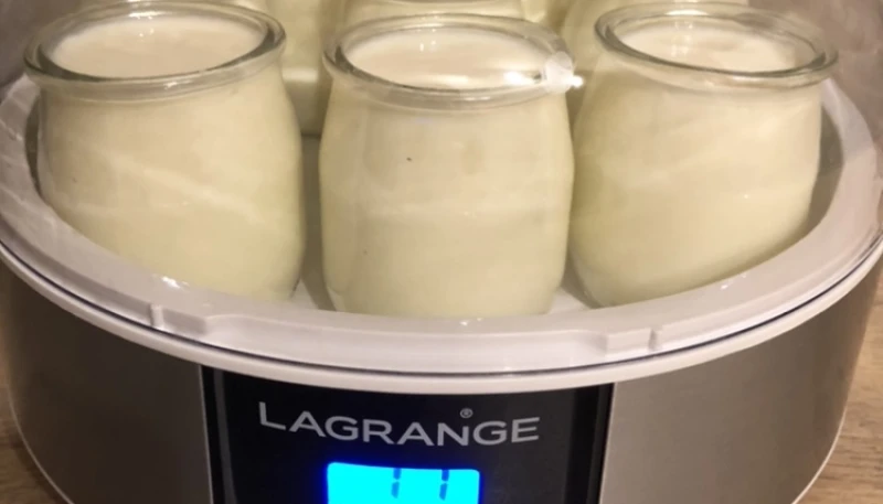Yaourts à la yaourtière au lait demi-écrémé