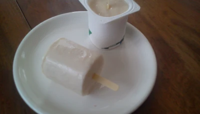 Yaourts glacés fruités