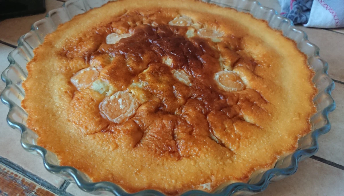 Clafoutis raisin/abricots