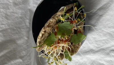 Pitta vegan