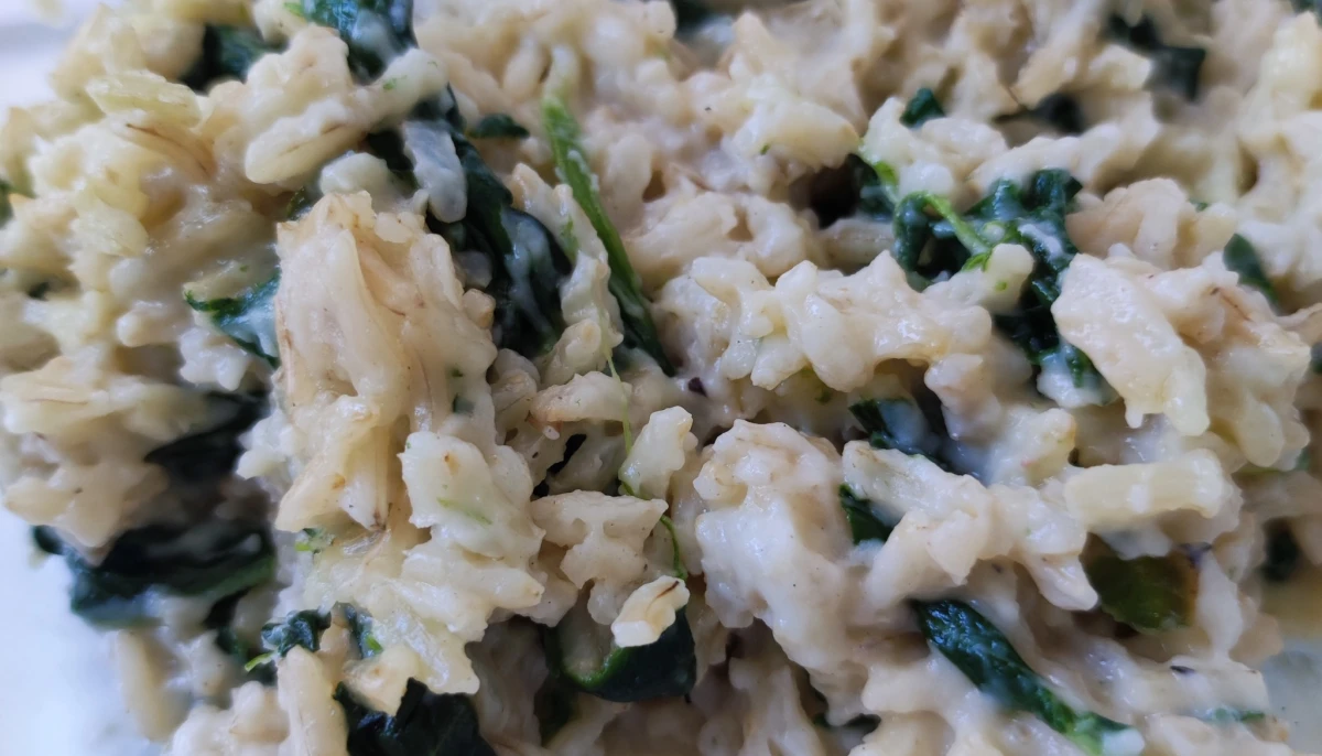 Riz épinard béchamel au chevre