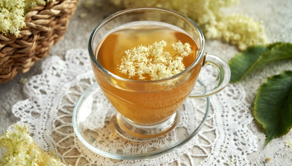 Infusion de fleurs de sureau