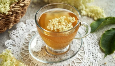 Infusion de fleurs de sureau