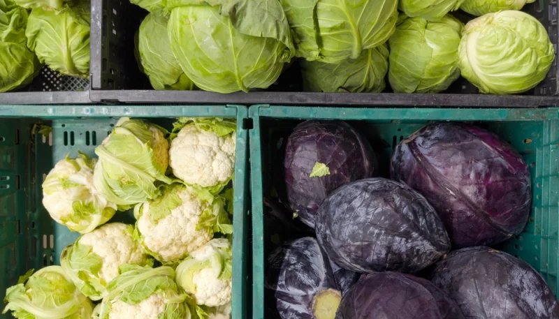 🥬 Le chou fait son grand retour : comment bien le choisir et le cuisiner ?
